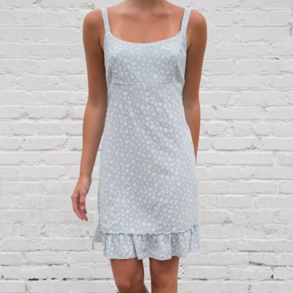 brandy melville colleen dress blue white flowers
